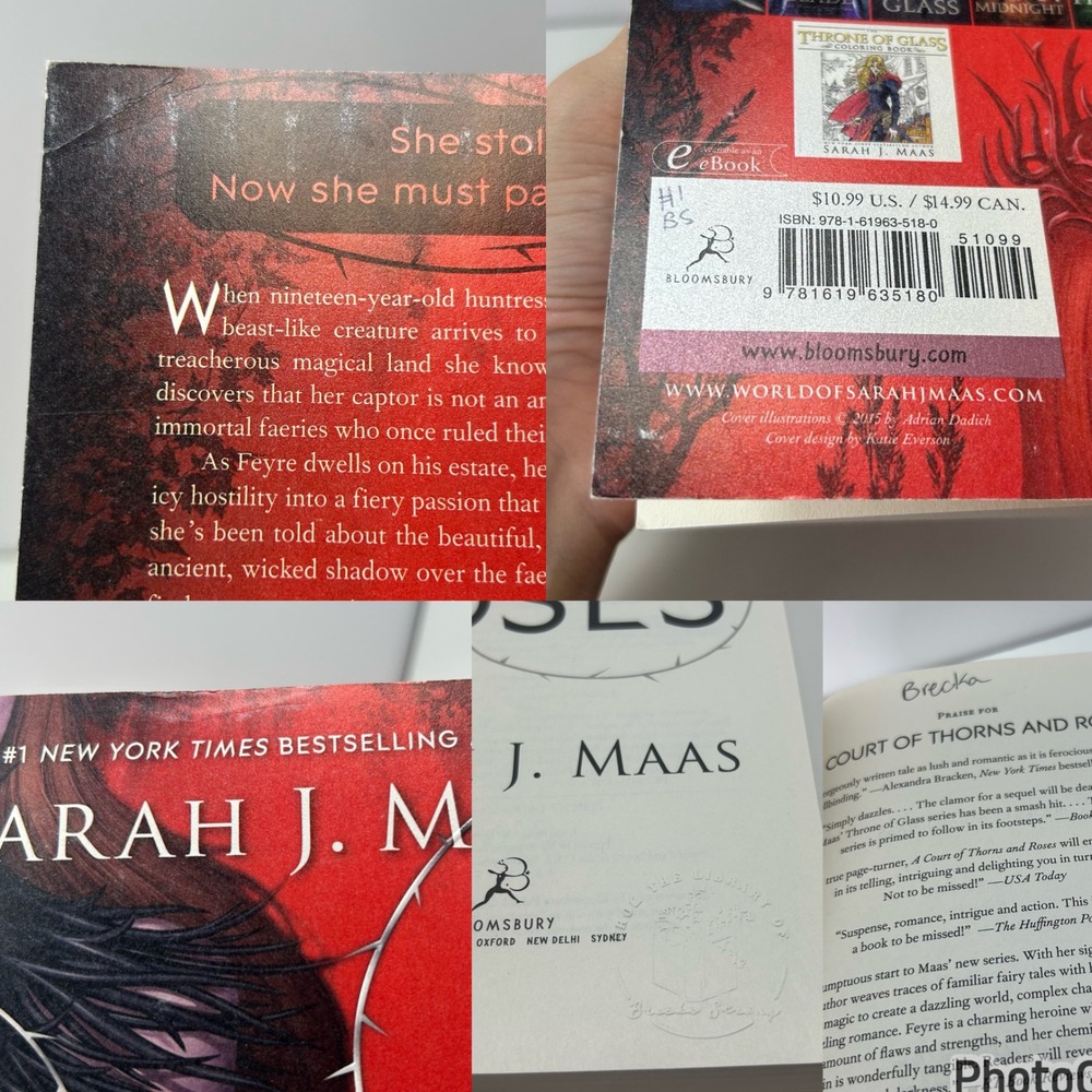 A Court of Thorns and Roses Paperback Set by Sarah J. Maas - Picture 7 of 11
